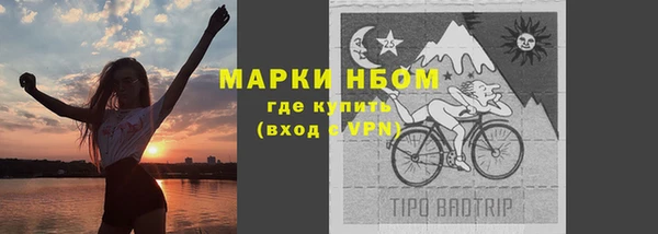 прущие грибы Белоозёрский
