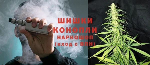 прущие грибы Белоозёрский