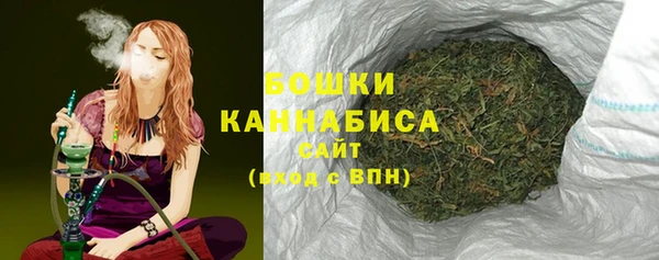 прущие грибы Белоозёрский